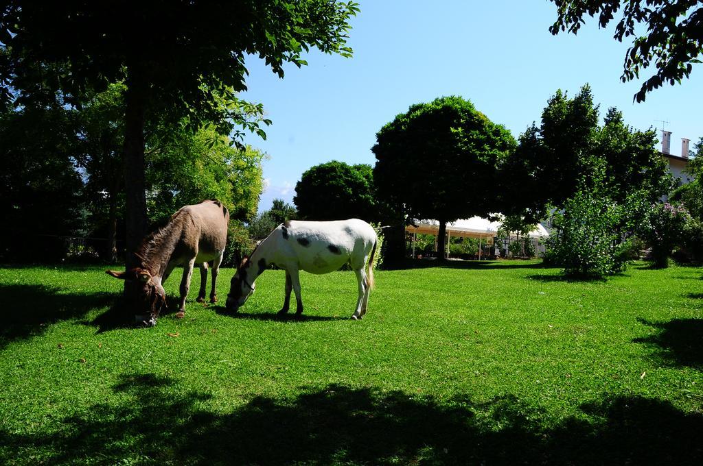 Locanda Dell'Asino D'Oro Villa Sulmona Kültér fotó
